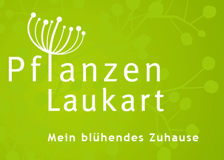 Pflanzencenter Laukart
